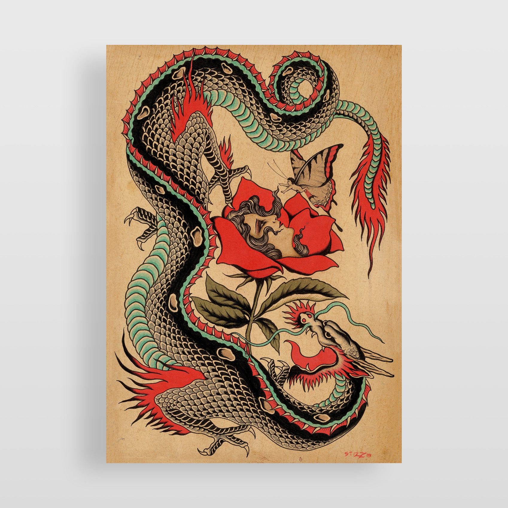 Stizzo - Dragon